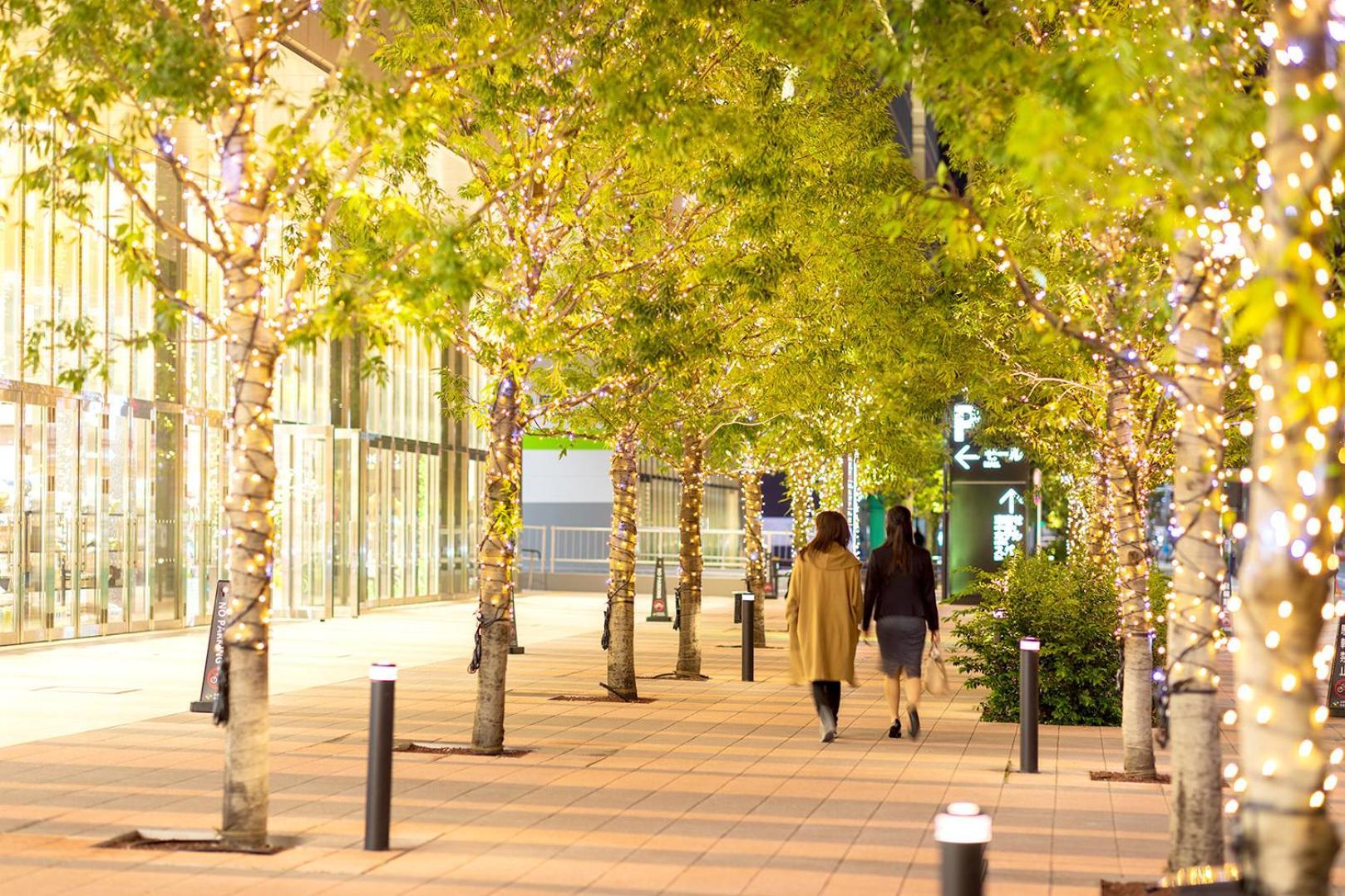 Villa Fontaine Grand Tokyo Ariake Exterior foto